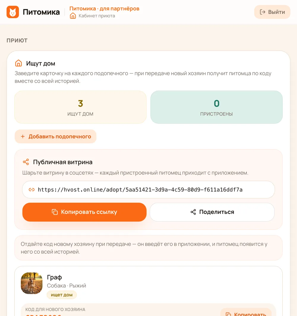 Кабинет приюта: подопечные и публичная витрина